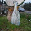 anguria gigante